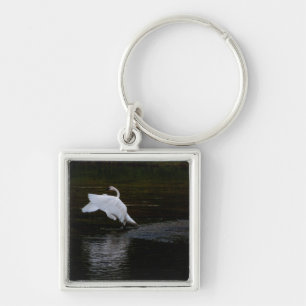 Porte-clés Cygne trompette