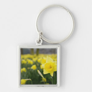 Porte-clés Daffodils (RF)