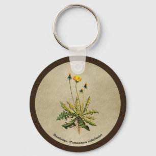 Porte-clés Dandelion Sur Vieux Papier