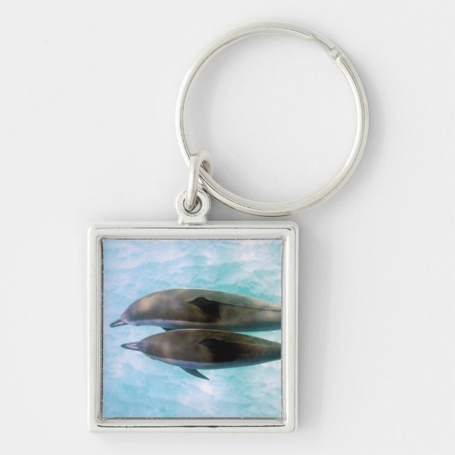 Porte-clés Dauphins de fileur | Oahu Hawaï (Devant)