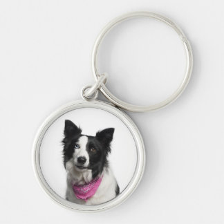 Porte-clés de border collie