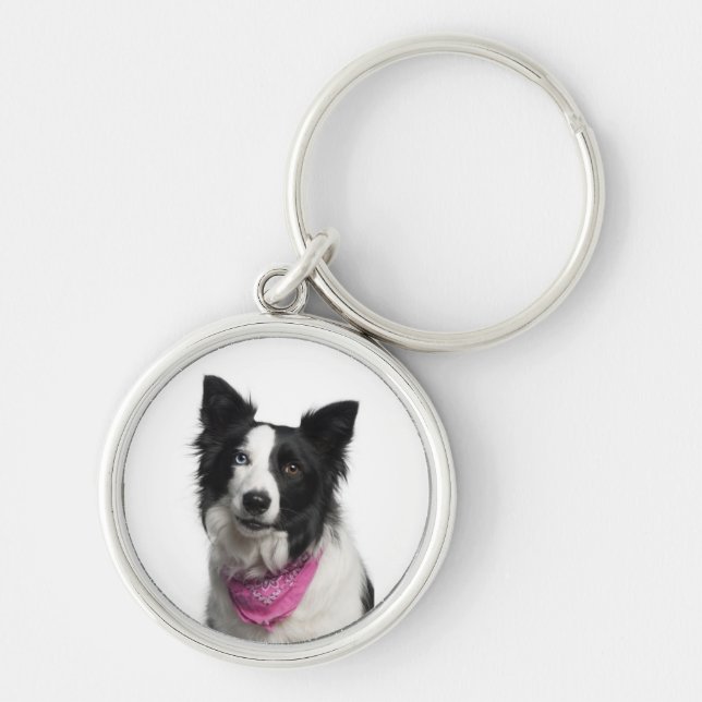 Porte-clés de border collie (Devant)