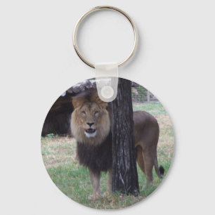 Porte-clés de lion
