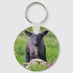 Porte-clés de moutons noirs de Bêlement-Bêlemen