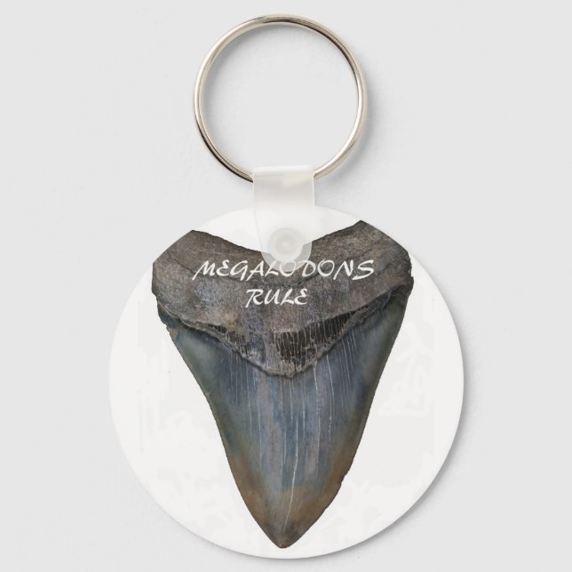 Porte-clés Dent de requin Megalodon (Recto)