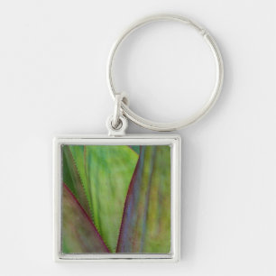Porte-clés Détail du Plante Agave