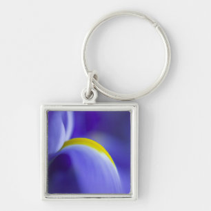 Porte-clés Détail rapproché d'un iris Blue Flag.