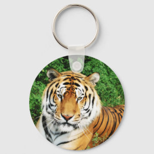 Porte-clés Détente du tigre