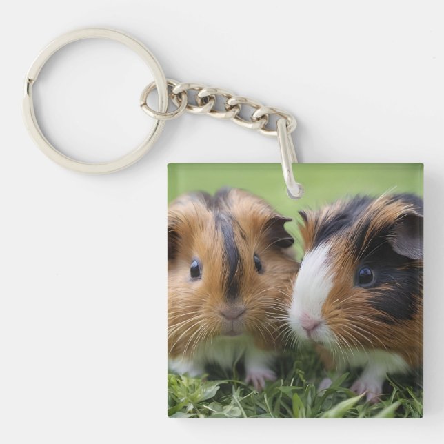 Porte-clés Deux bébés cochons de Guinée Tortoiseshell, (Devant)