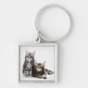 Porte-clés Deux chatons de chat de ragondin du Maine