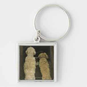 Porte-clés Deux chiens regardant dans la fenêtre de porte,