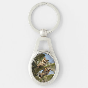 Porte-clés Deux hiboux dans les bois, oiseaux, faune Porte-cl