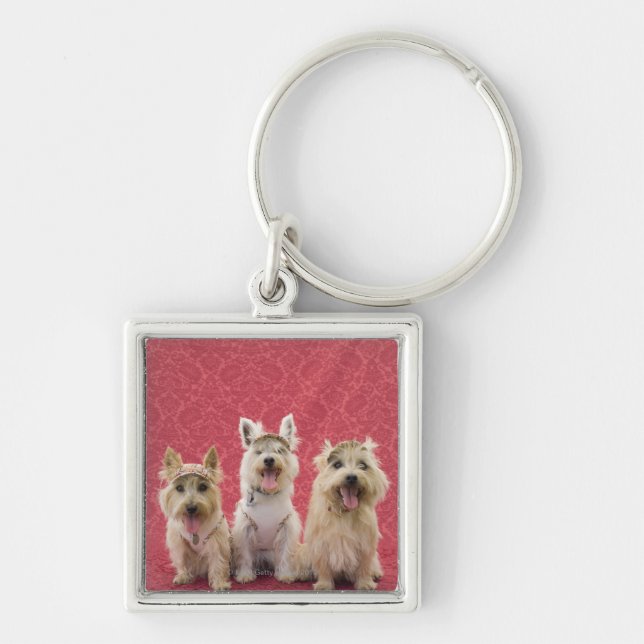 Porte-clés Deux terriers de cairin et un westie (Devant)