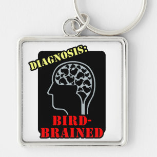 Porte-clés Diagnostic : Brainé par les oiseaux