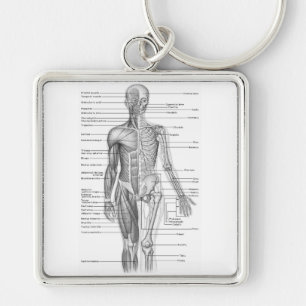 Porte-clés Diagramme humain d'anatomie