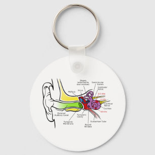 Porte-clés Diagramme humain d'oreille avec la cartographie