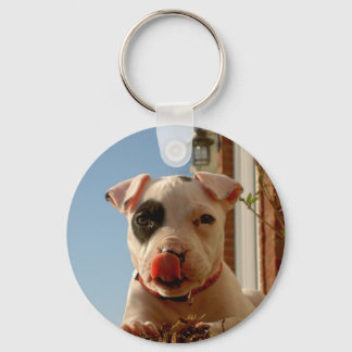 Porte-clés Dog Keychain