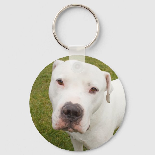 Porte-clés Dogo (Recto)