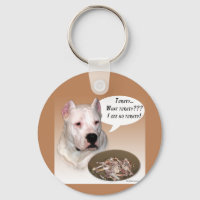 Dogo Argentino Turquie