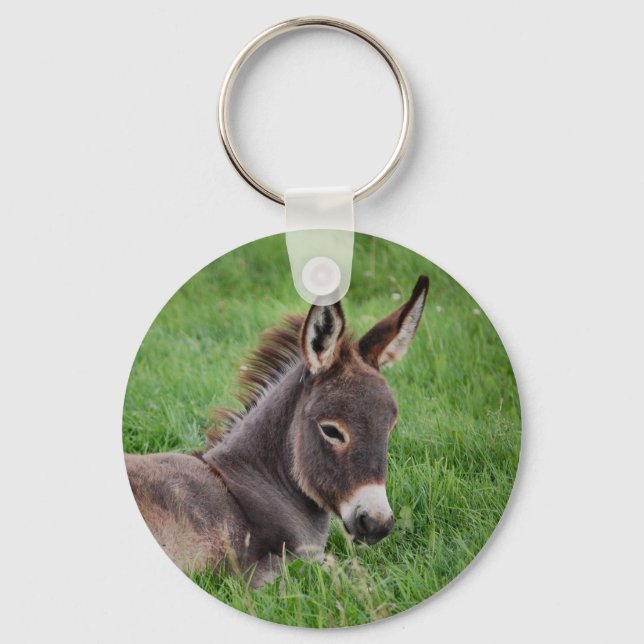 Porte-clés Donkey Dans L'Herbe (Recto)