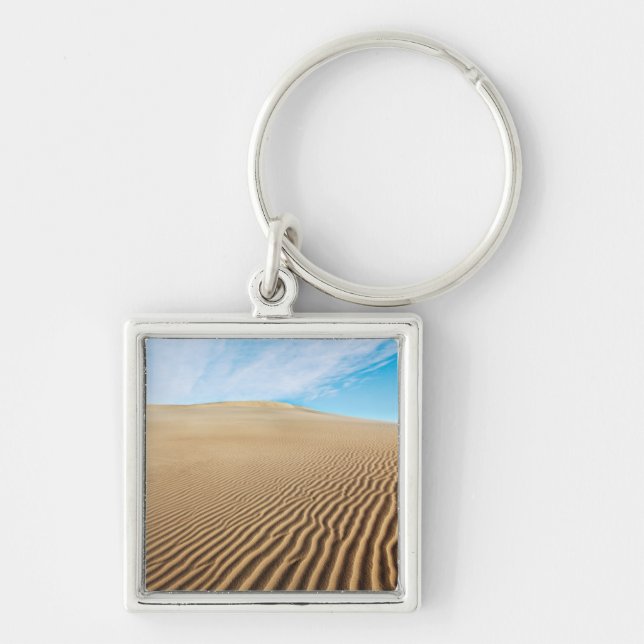 Porte-clés Dunes de sable d'appartements de mesquite (Devant)