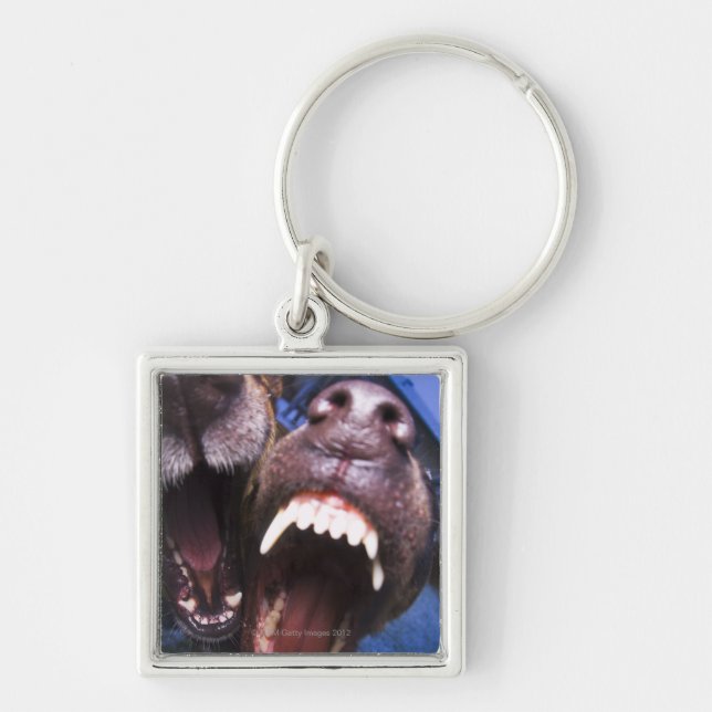 Porte-clés Écorcement de chiens (Devant)