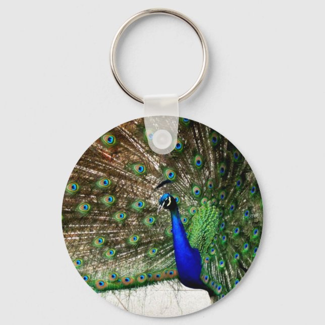 Porte-clés Écran Peacock Homme (Recto)