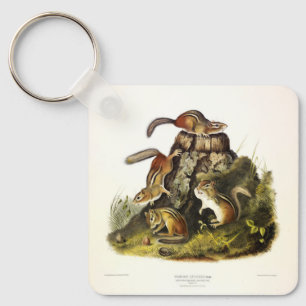 Porte-clés Écureuil à écorce ( Chipmunk oriental ) par Audubo