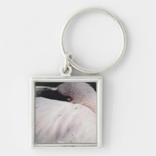 Porte-clés Effet de dessin de portrait de flamant rose Art