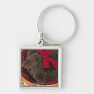 Porte-clés Également dobermann Pincher. Chien domestique