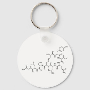 Porte-clés élément chimique de la formule chimique de l'oxy