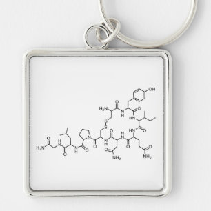 Porte-clés élément chimique de la formule chimique de l'oxyto