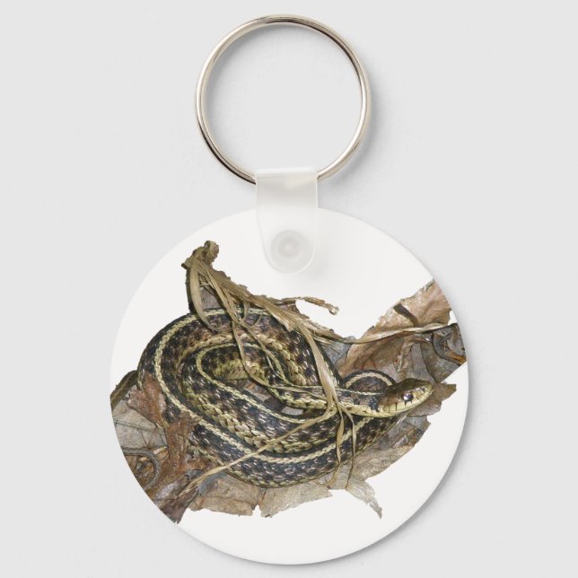 Porte-clés Eléments de coordination des serpents-garets de l' (Recto)