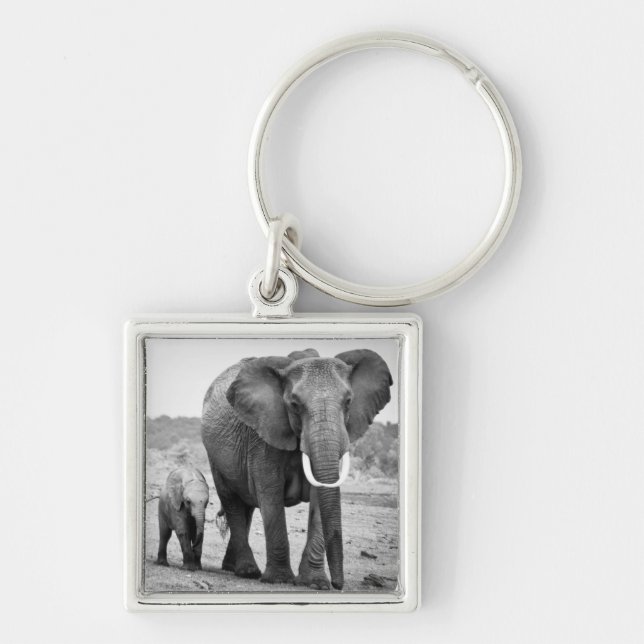 Porte-clés Éléphant africain et veaux | Kenya, Afrique (Devant)