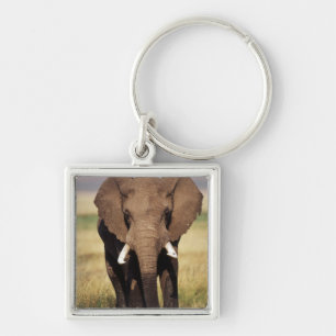 Porte-clés Éléphant de savane d'Afrique