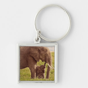 Porte-clés Éléphant et bébé des images de Getty