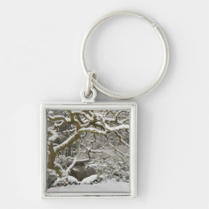 Porte-clés Érable japonais couvert de neige