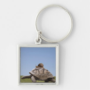 Porte-clés Escargot au-dessus d'une tortue