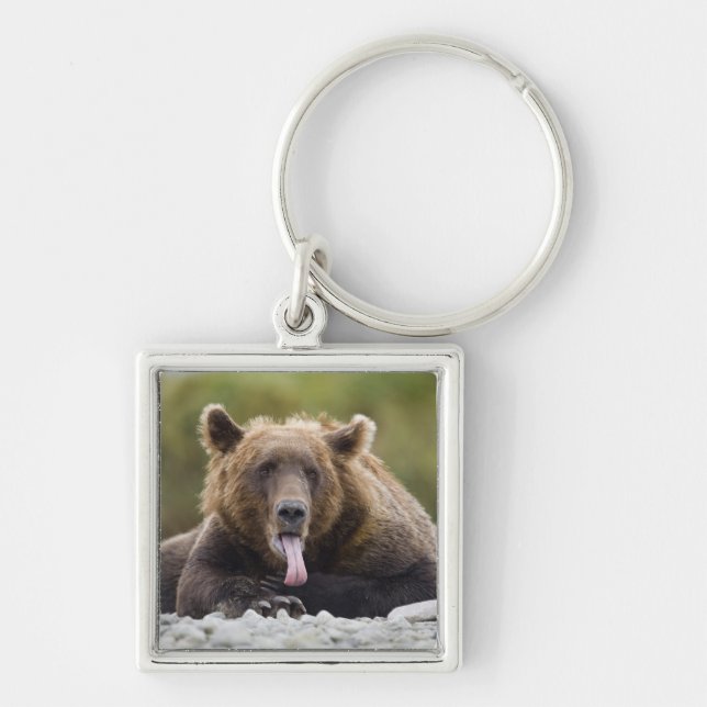 Porte-clés États-Unis, Alaska, Parc national de Katmai, baie  (Devant)