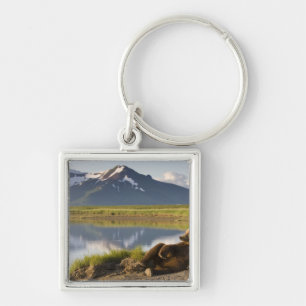 Porte-clés États-Unis, Alaska, parc national de Katmai, ours
