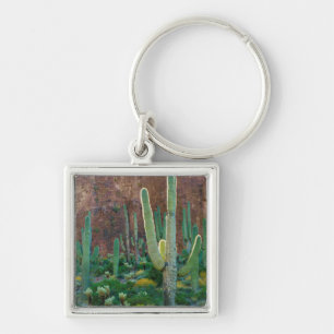 Porte-clés États-Unis, Arizona. Champ de cactus saguaro au pi
