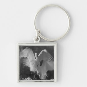 Porte-clés États-Unis, Floride, Grande Aigrette (Ardea alba) 