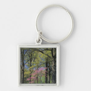 Porte-clés États-Unis, Kentucky, Louisville. Cercis canadensi