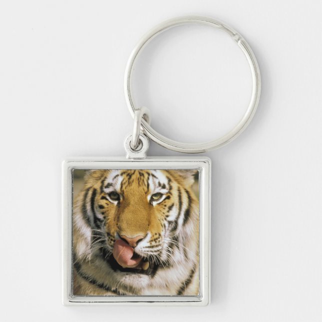 Porte-clés États-Unis, Michigan, Détroit. Zoo de Détroit, tig (Devant)