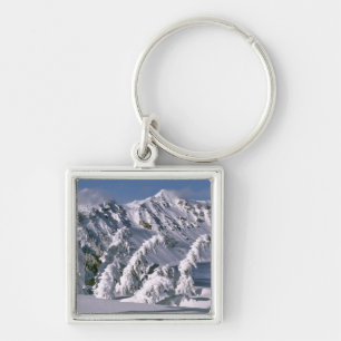 Porte-clés États-Unis, Oregon, Crater Lake NP. Les arbres plo