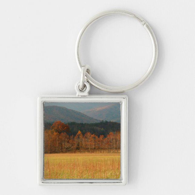 Porte-clés États-Unis, Tennessee. Cades Cove In Smoky Mountai (Devant)