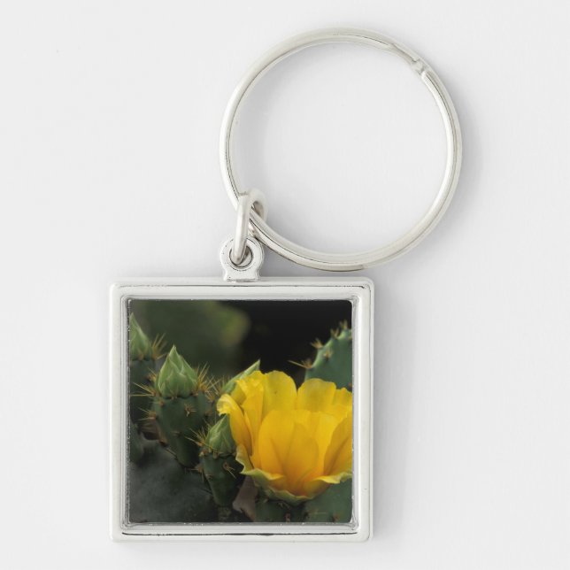 Porte-clés États-Unis, Texas, Cactus d'opuntia en fleurs. (Devant)