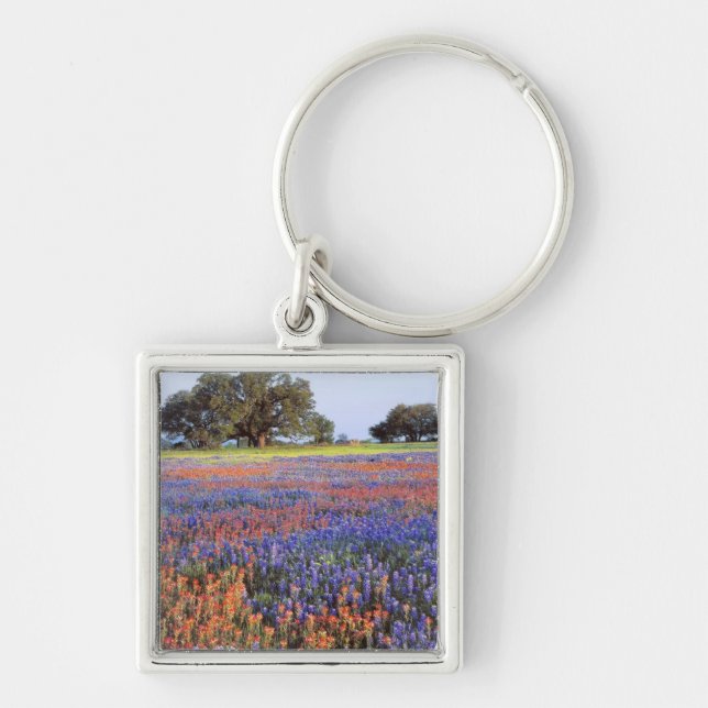 Porte-clés États-Unis, Texas, Llano. Bluebonnets et redbonnet (Devant)