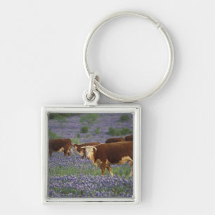 Porte-clés États-Unis, Texas, Texas Hill Country, Hereford