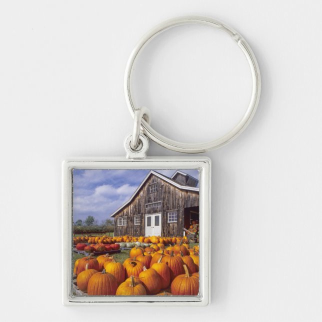 Porte-clés États-Unis, Vermont, Shelbourne, Citrouilles (Devant)